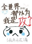 全世界都以為我是攻[快穿]